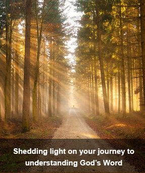 sunlit path